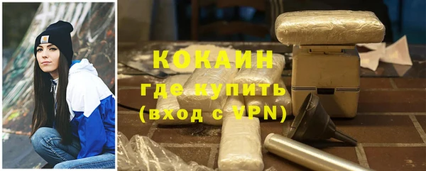 сатива Аркадак
