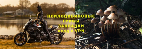 сатива Аркадак