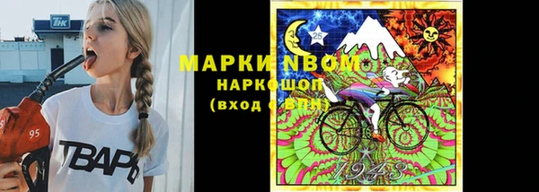 сатива Аркадак