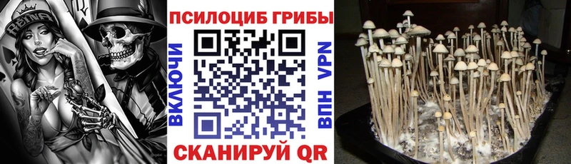 магазин  наркотиков  Шацк  Галлюциногенные грибы GOLDEN TEACHER 